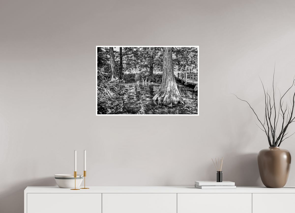 29.7 x 20″, PP Ilford BW Border Reelfoot Lake-3