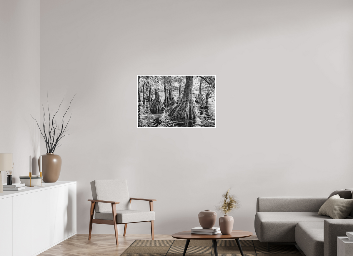 36 x 24″, PP Ilford BW Border Reelfoot Lake-4