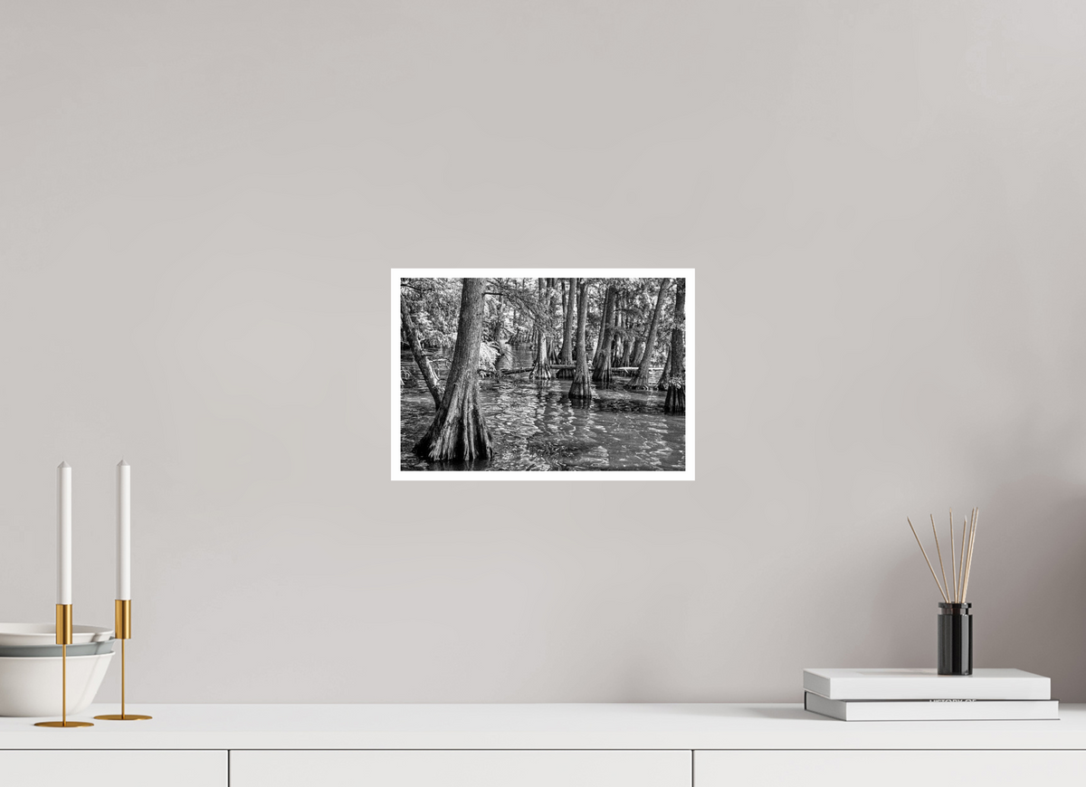 11.8 x 8″, PP Ilford Baryta P Border Reelfoot Lake-6