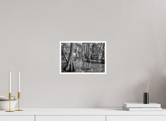 11.8 x 8″, PP Ilford Baryta P Border Reelfoot Lake-6