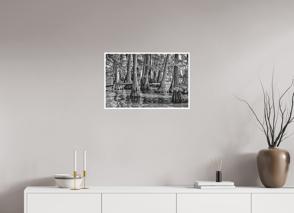 24.6 x 16″, PP Ilford BW Border Reelfoot Lake-5