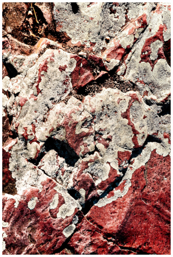 Main image Pipestone Park-2