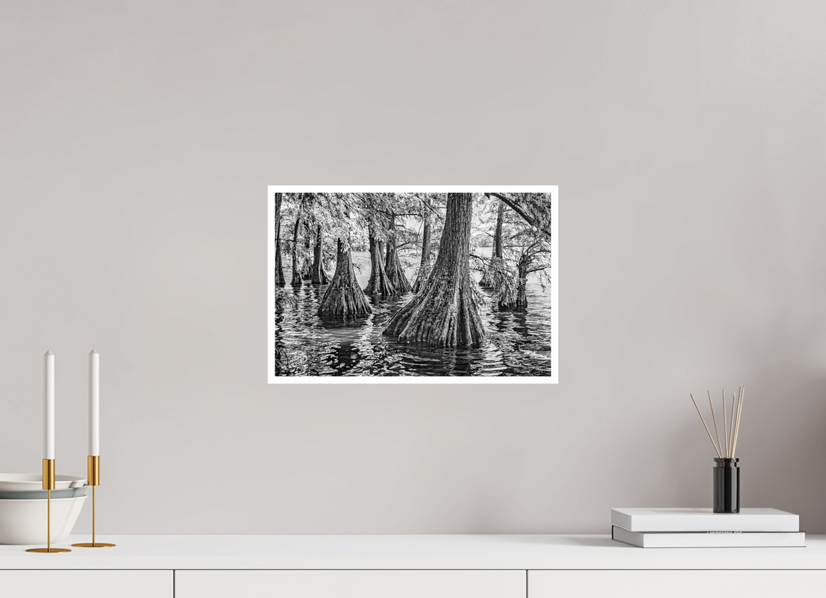 15 x 10″, PP Ilford BW Border Reelfoot Lake-4