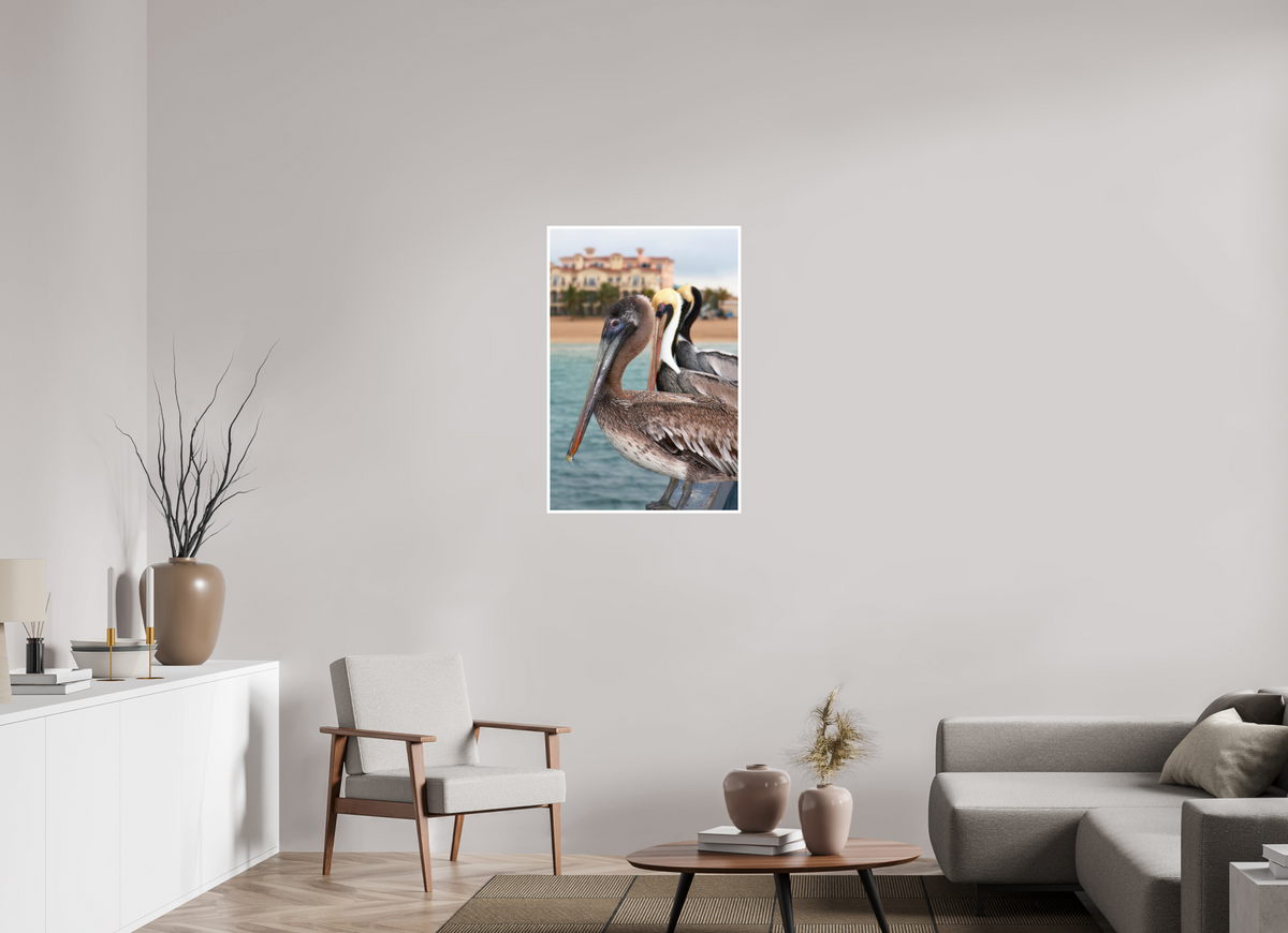 24 x 36″, PP Fuji Crstal DP II Border Brown Pelican