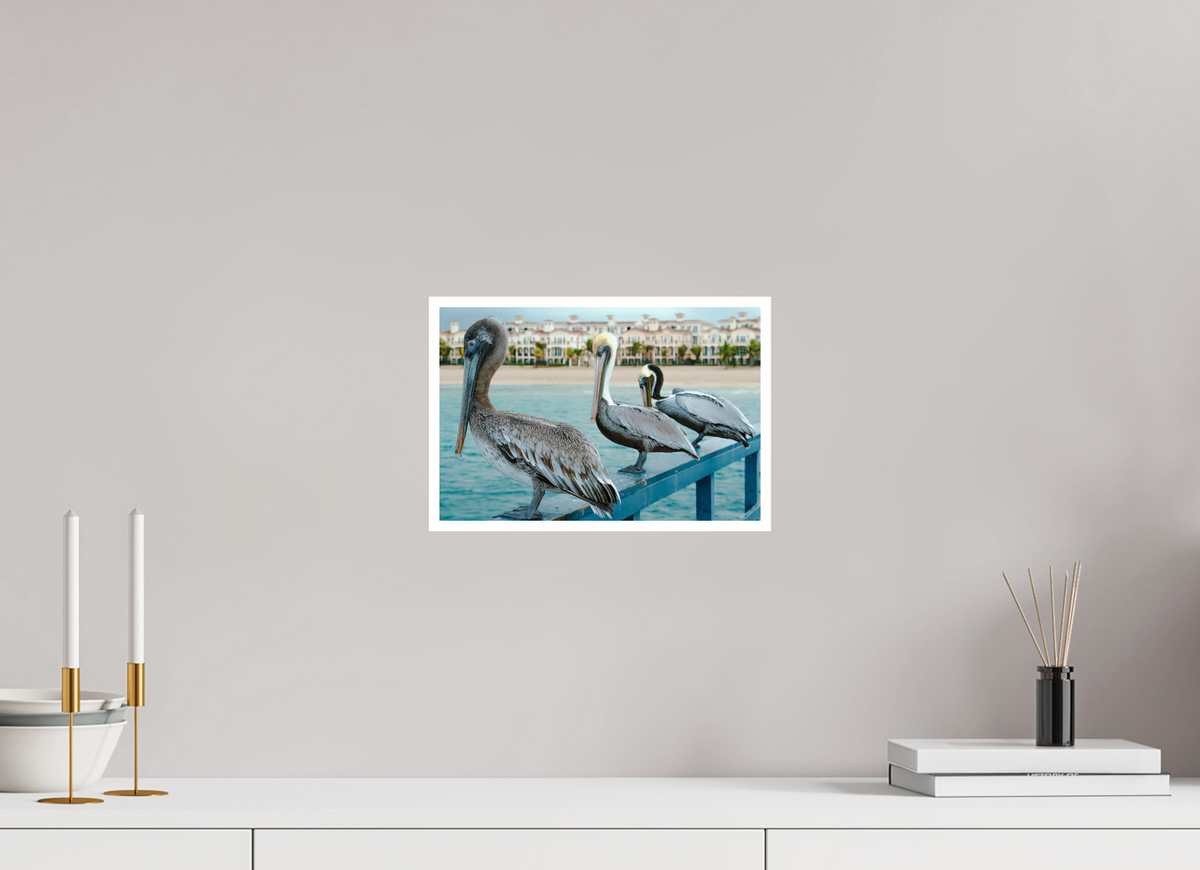 12 x 8″, PP Fujiflex HG Border Pelican_4