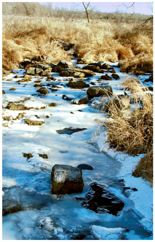 Main image Pipestone Park-1