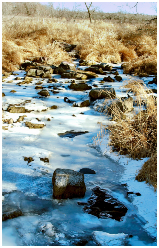 Main image Pipestone Park-1