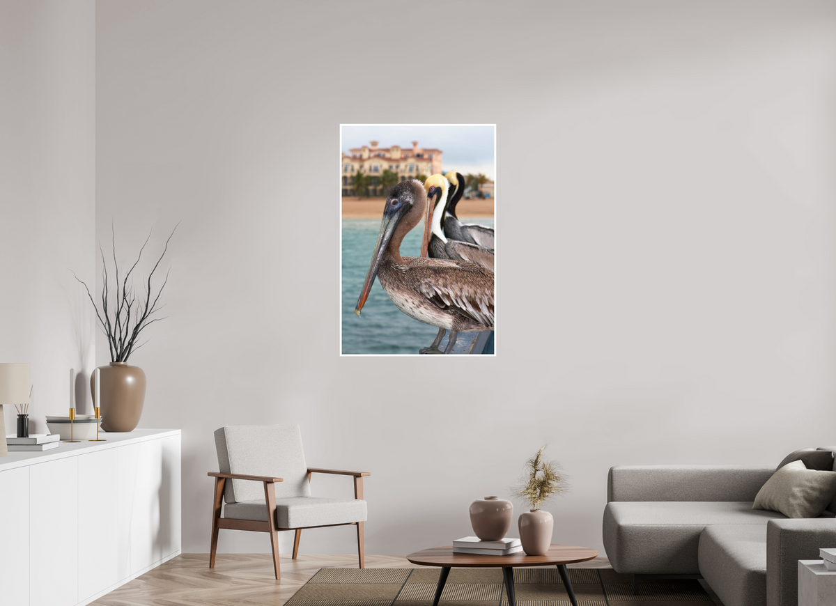 30 x 45″, PP Fujiflex HG Border Brown Pelican