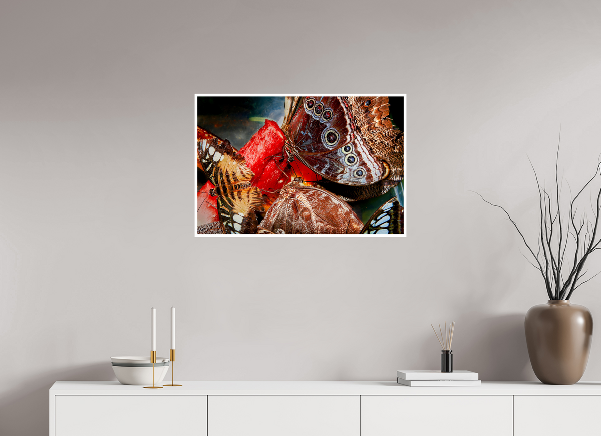 30 x 20″, Fuji Crystal Pearl w Broader Butterfly's