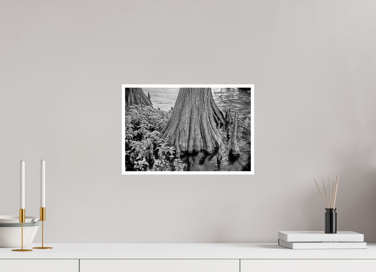 15 x 10″, PP Ilford BW Border Reelfoot Lake-2