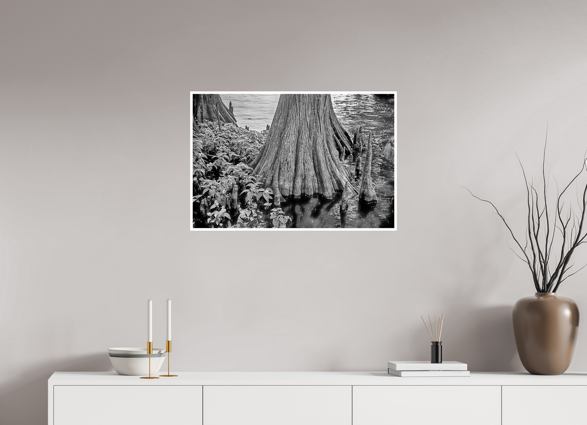 30 x 20″, PP Ilford BW Border Reelfoot Lake-2