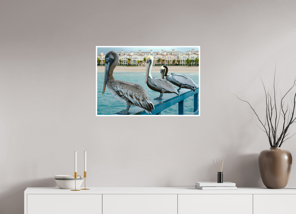 30 x 20″, PP Fujiflex HG Border Pelican_4