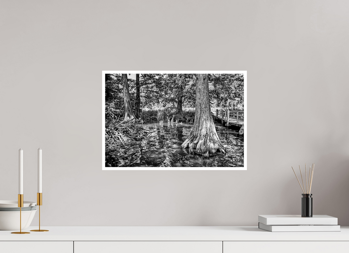 17.8 x 12″, PP Ilford BW Border Reelfoot Lake-3
