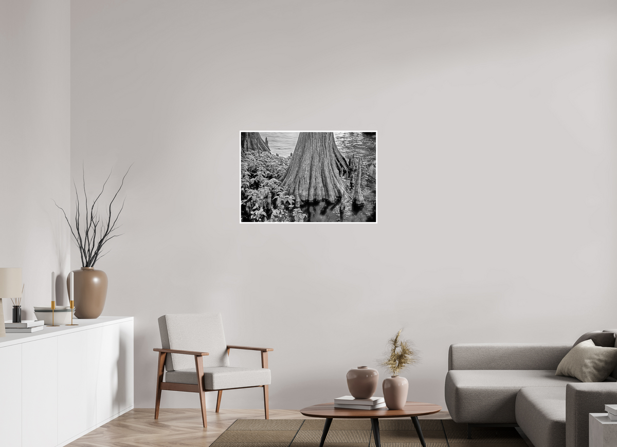 36 x 24″, PP Ilford BW Border Reelfoot Lake-2