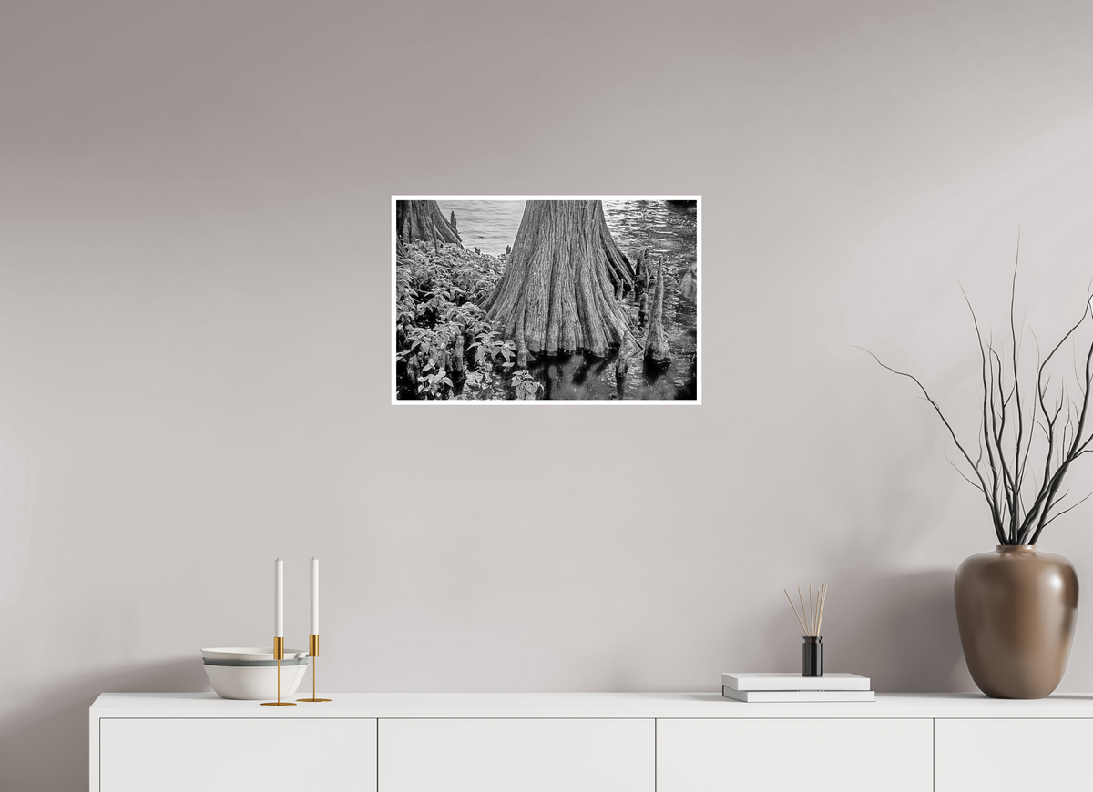 24 x 16″, PP Ilford BW Border Reelfoot Lake-2
