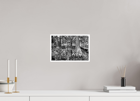 11.9 x 8″, PP Ilford Baryta P Border Reelfoot Lake-3
