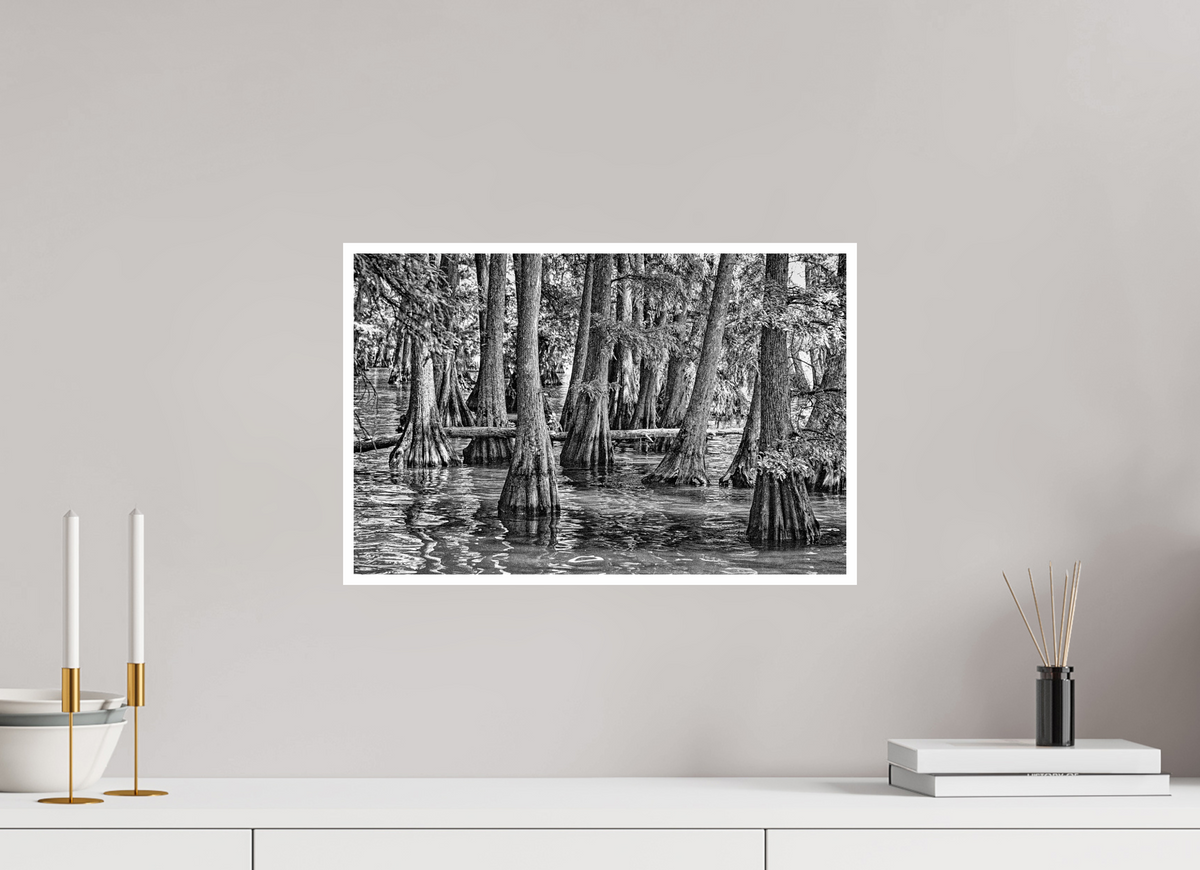 18.4 x 12″, PP Ilford BW Border Reelfoot Lake-5
