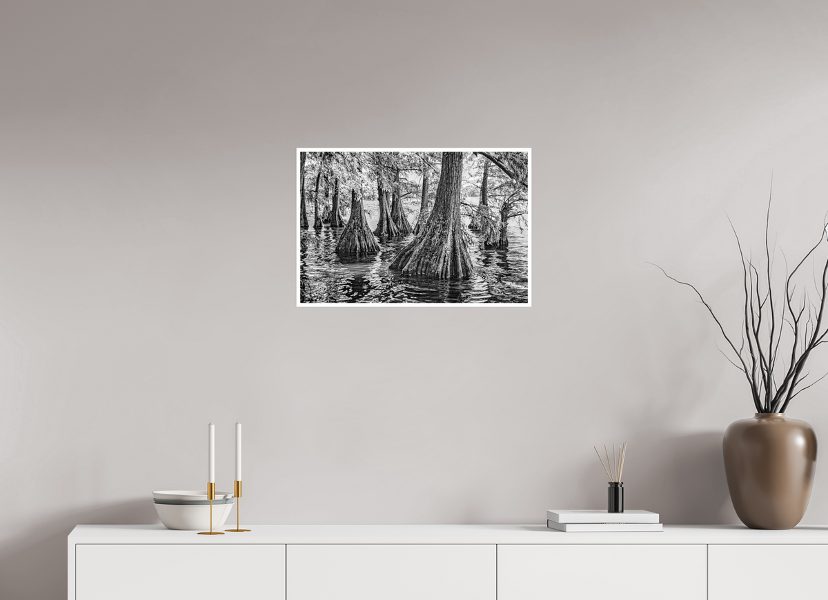 24 x 16″, PP Ilford BW Border Reelfoot Lake-4