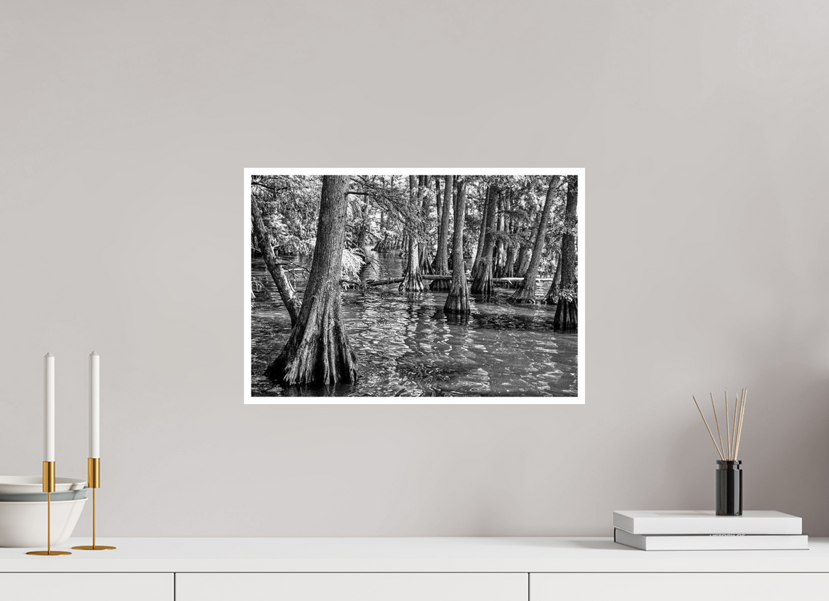 17.7 x 12″, PP Ilford BW Border Reelfoot Lake-6