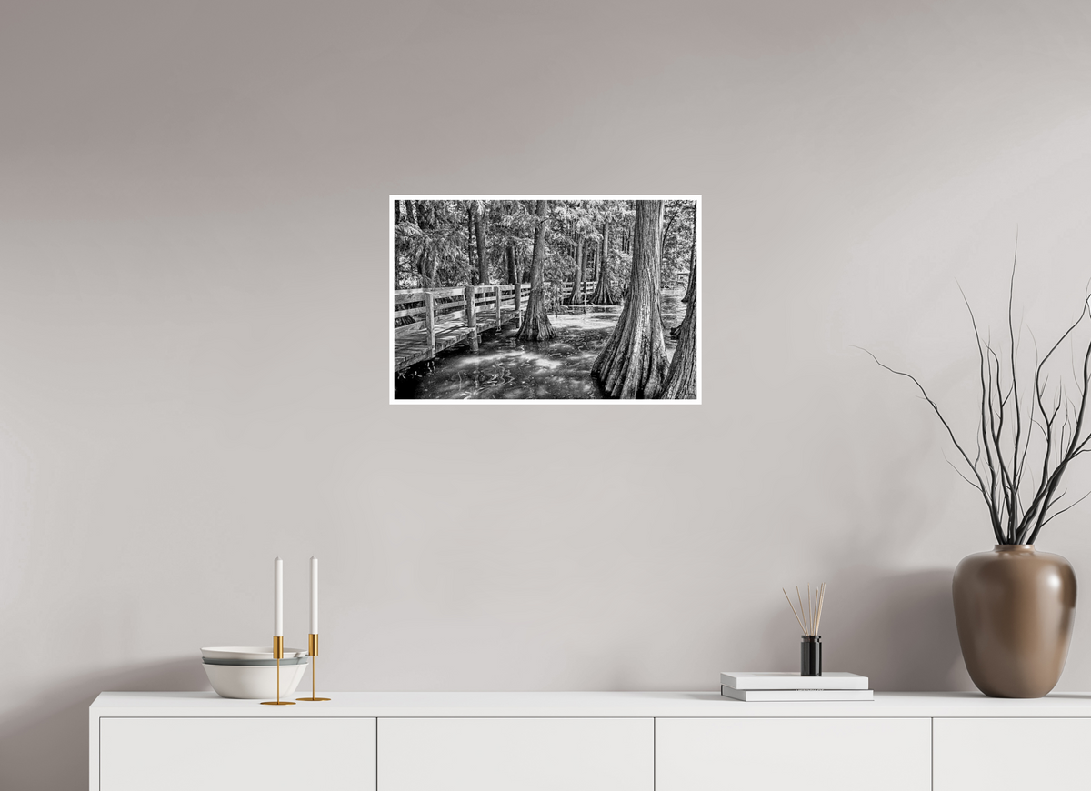 24.2 x 16″, PP Ilford BW Border Reelfoot Lake-1