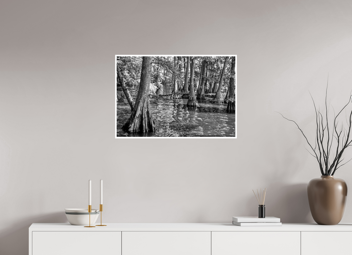 29.4 x 20″, PP Ilford Baryta P Border Reelfoot Lake-6