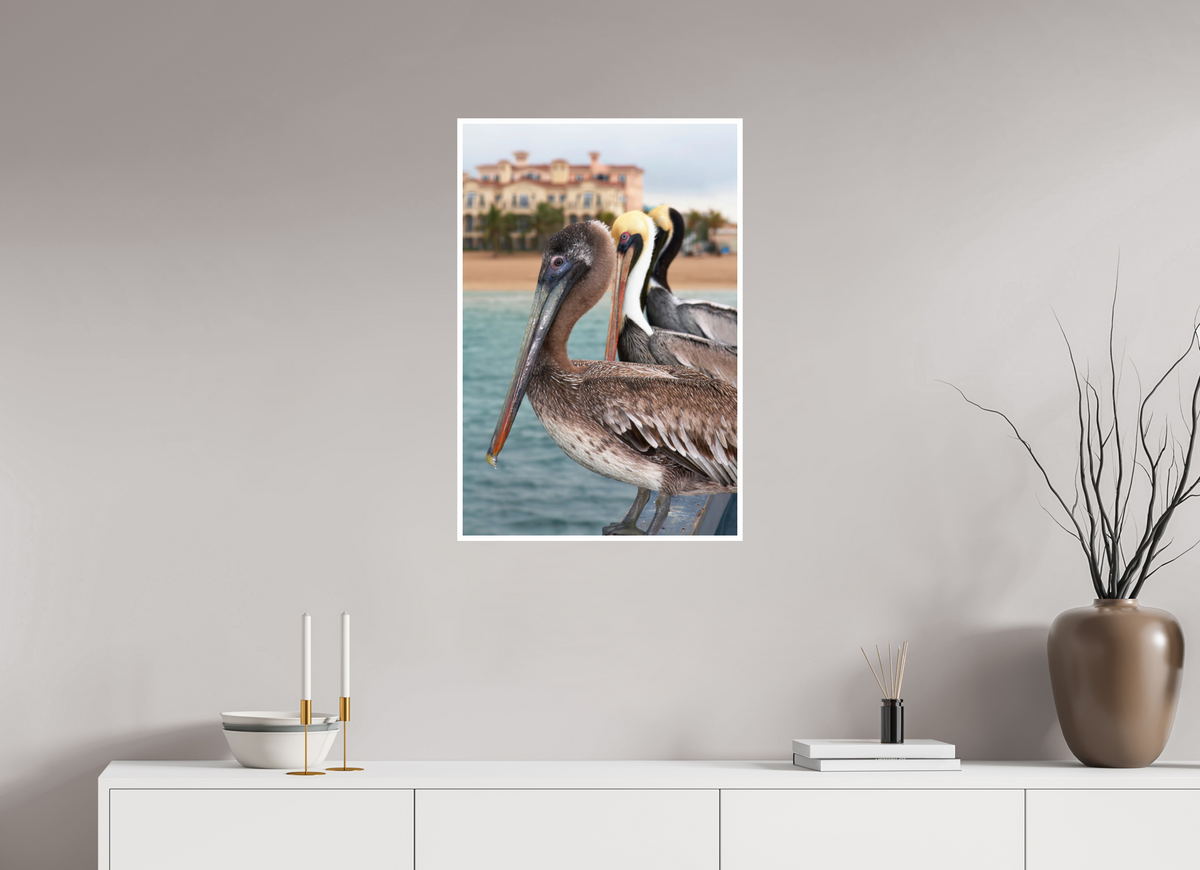 20 x 30″, PP Fuji Crstal DP II Border Brown Pelican