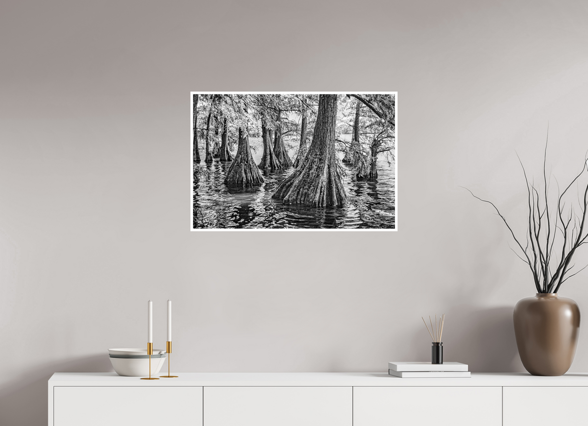 30 x 20″, PP Ilford BW Border Reelfoot Lake-4