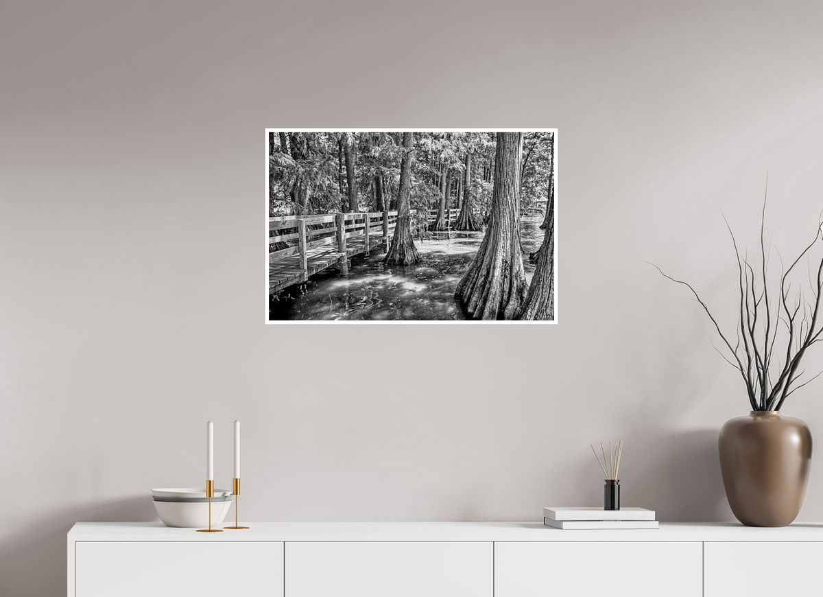 30.3 x 20″, PP Ilford Baryta P Border Reelfoot Lake-1