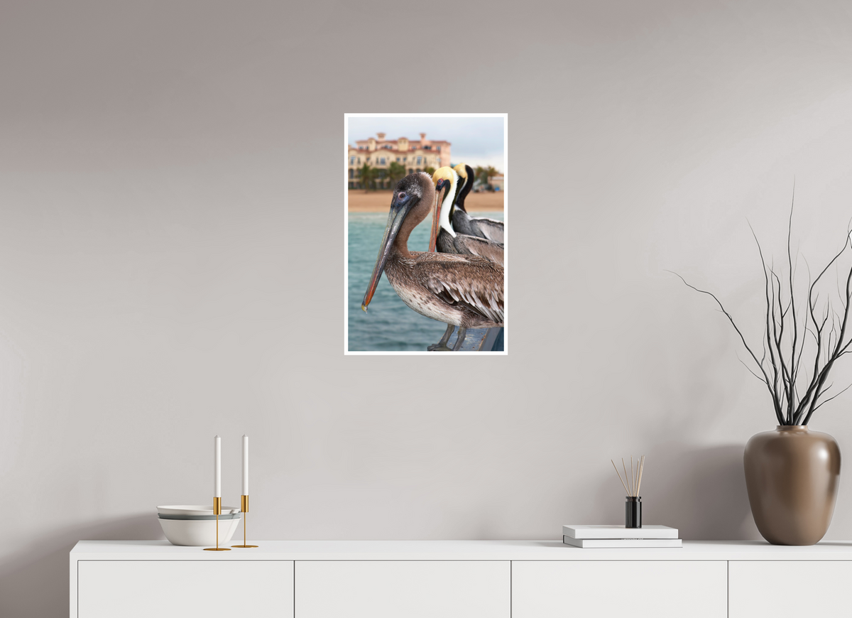 16 x 24″, PP Fuji Crstal DP II Border Brown Pelican