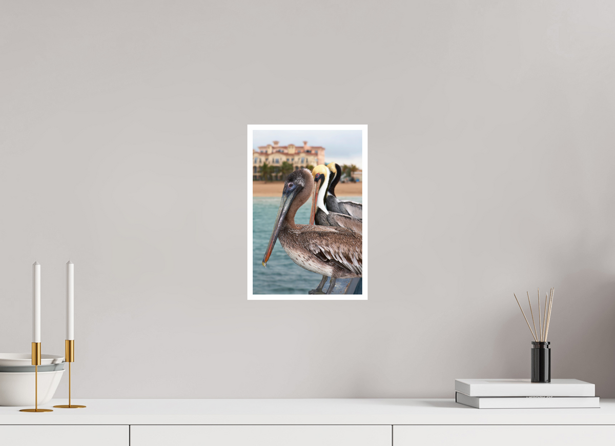 8 x 12″, Fuji Crystal Pearl w Broader Brown Pelican