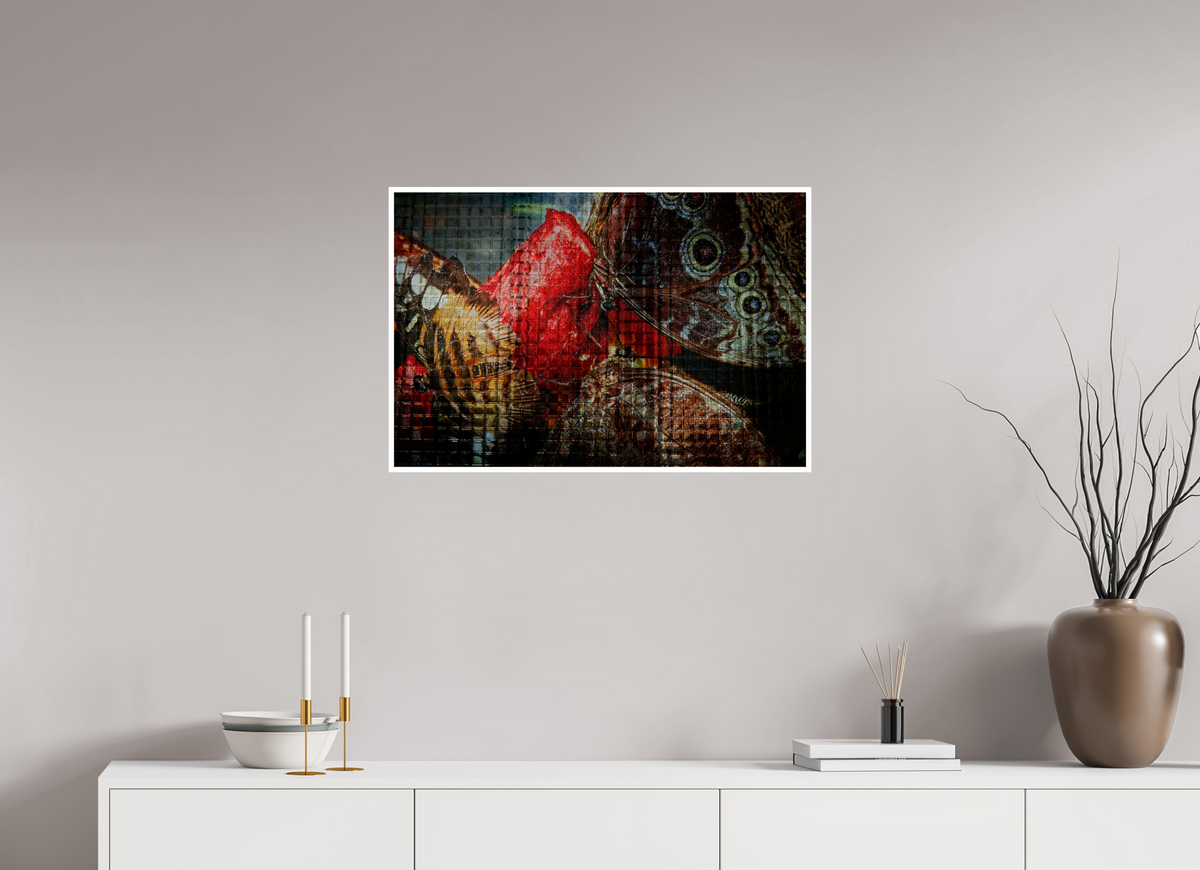 30 x 20″, PP Fuji Crstal DP II Border Butterfly's be hide the Glass