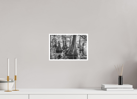 12 x 8″, PP Ilford Baryta P Border Reelfoot Lake-4
