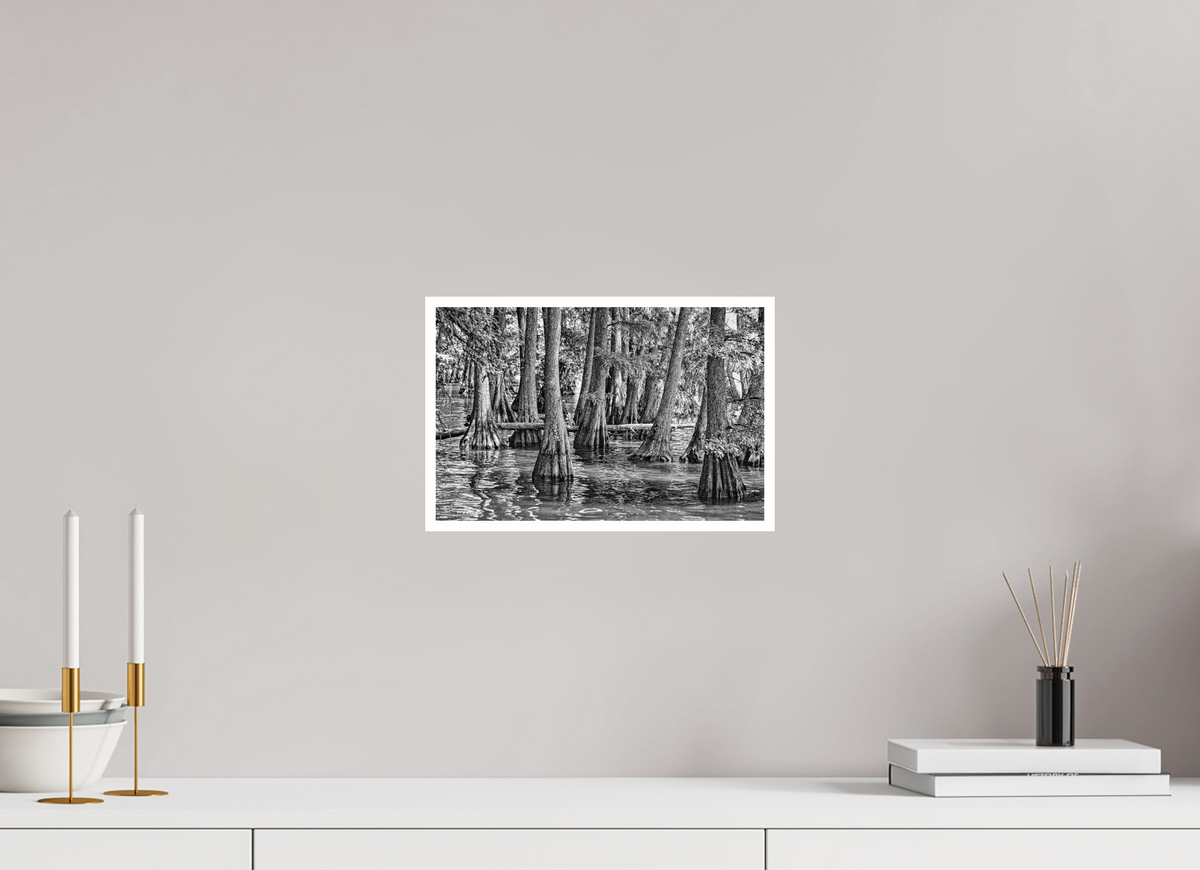 12.3 x 8″, PP Ilford BW Border Reelfoot Lake-5
