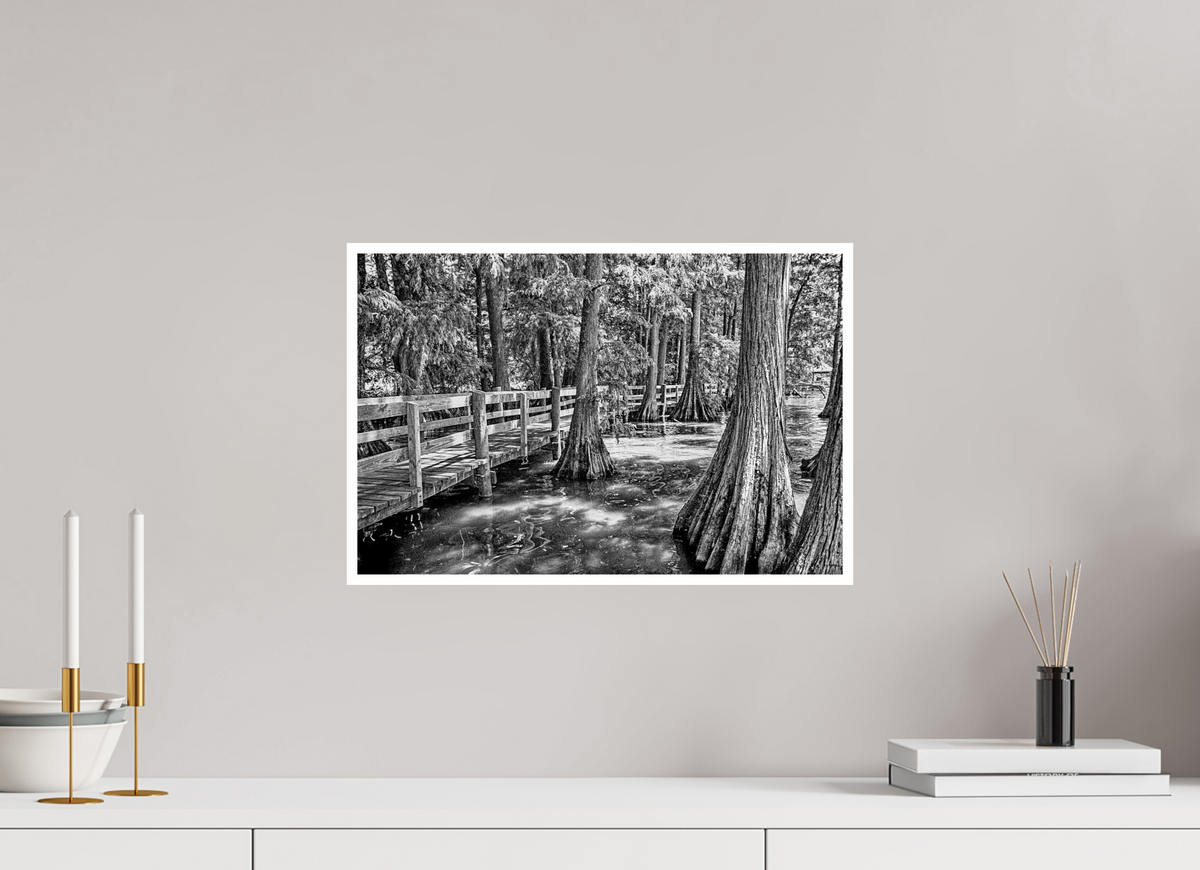 18.1 x 12″, PP Ilford Baryta P Border Reelfoot Lake-1