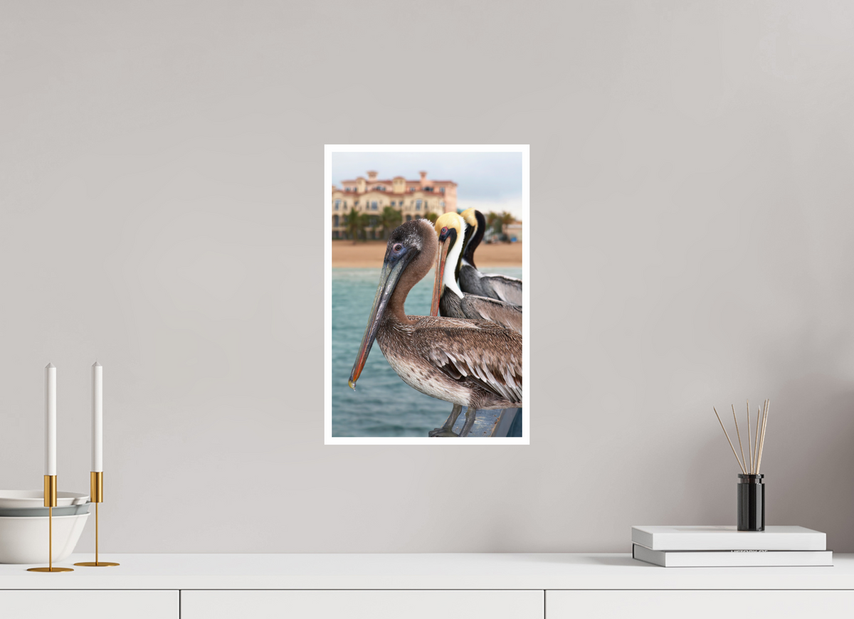 10 x 15″, PP Fujiflex HG Border Brown Pelican