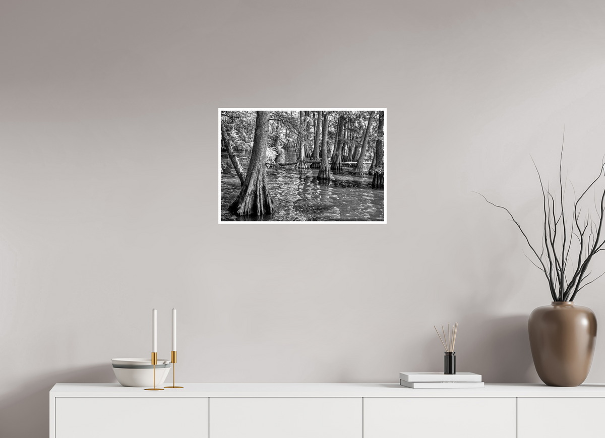 23.5 x 16″, PP Ilford Baryta P Border Reelfoot Lake-6
