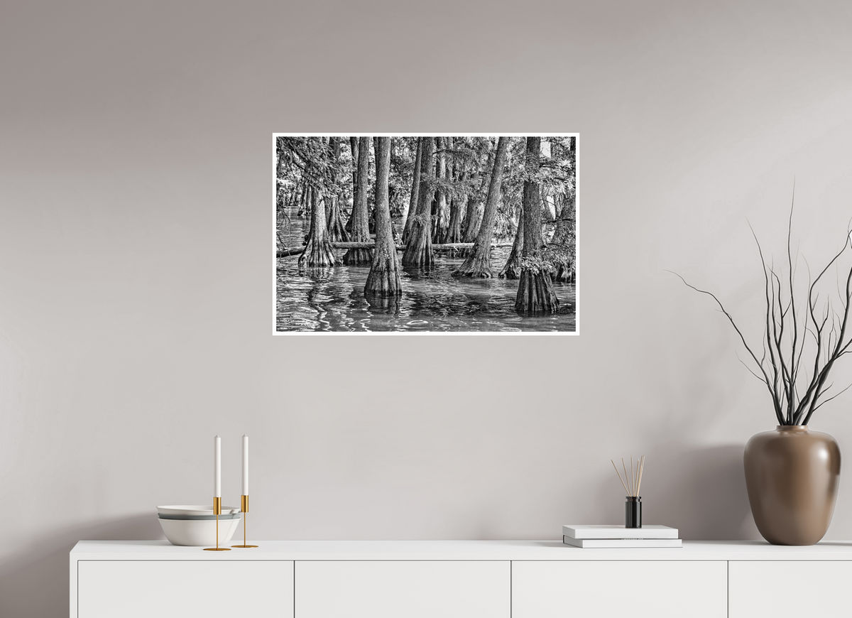 30.7 x 20″, PP Ilford Baryta P Border Reelfoot Lake-5
