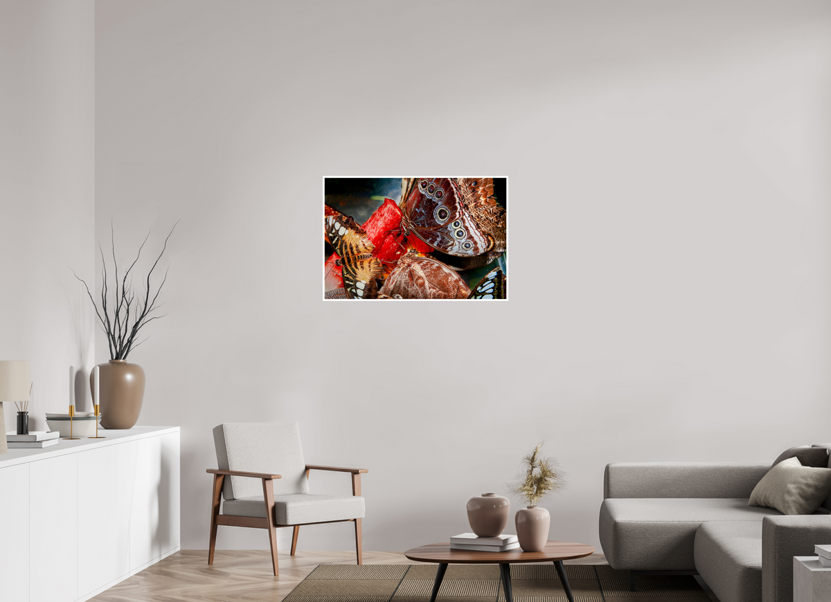 36 x 24″, PP Fuji Crstal DP II Border Butterfly's